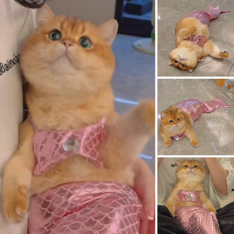 Morsomme Cat Mermaid-klær